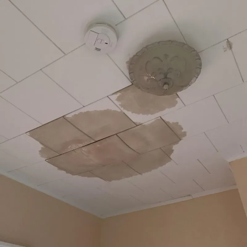 Ceiling Water Damage Repair in Dellwood, MO