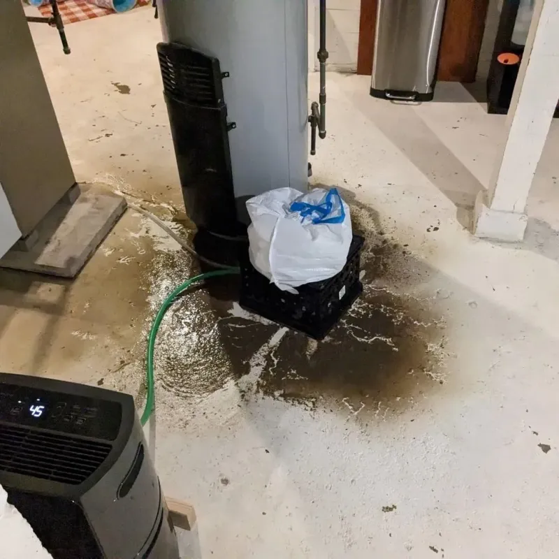 Sewage Backup Cleanup Service in Dellwood, MO